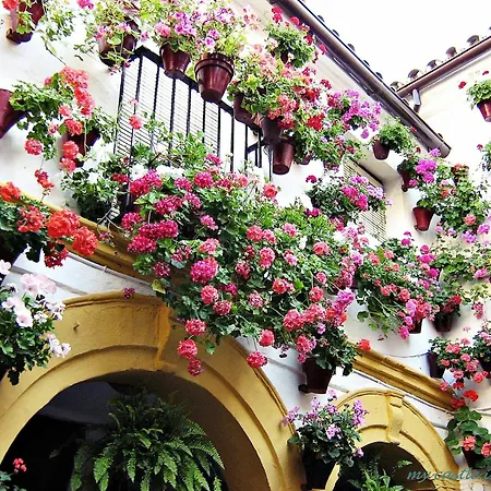 Villa Casa En *